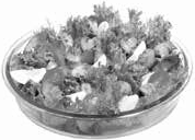 Постная кухня. 600 вкусных рецептов _02.png