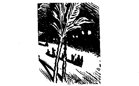 Необыкновенные приключения экспедиции Барсака (илл. В. Колтунова) pic_7.png