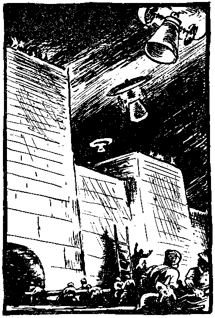 Необыкновенные приключения экспедиции Барсака (илл. В. Колтунова) pic_11.png