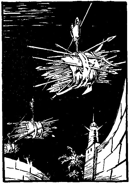 Необыкновенные приключения экспедиции Барсака (илл. В. Колтунова) pic_13.png