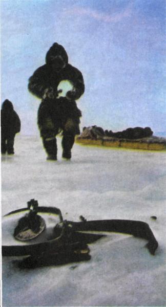 Журнал «Вокруг Света» №02 за 1985 год TAG_img_cmn_2007_03_16_055_jpg651368