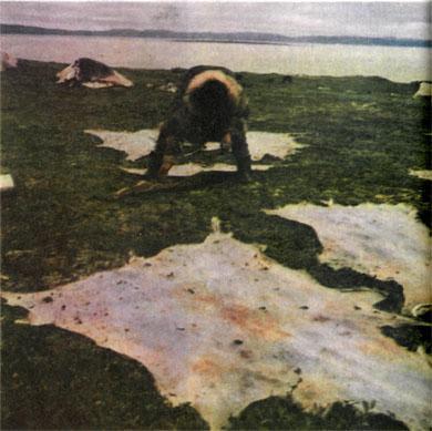 Журнал «Вокруг Света» №02 за 1985 год TAG_img_cmn_2007_03_16_056_jpg732244