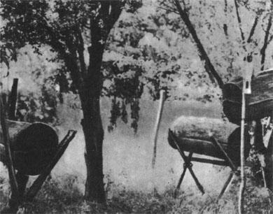 Журнал «Вокруг Света» №02 за 1985 год TAG_img_cmn_2007_03_17_009_jpg405733