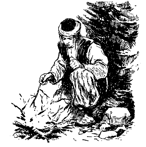 Пленники Барсова ущелья (с илл.) pic_15.png