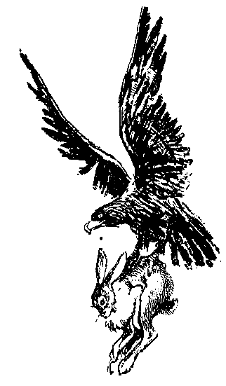 Пленники Барсова ущелья (с илл.) pic_18.png