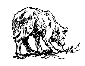 Пленники Барсова ущелья (с илл.) pic_23.png