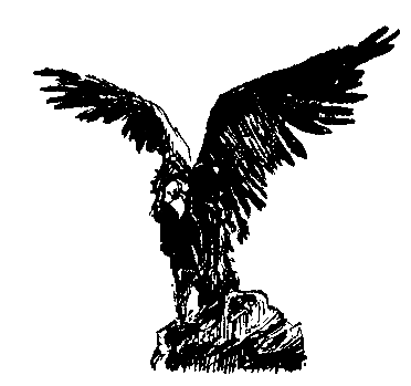 Пленники Барсова ущелья (с илл.) pic_8.png