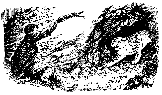 Пленники Барсова ущелья (с илл.) pic_41.png