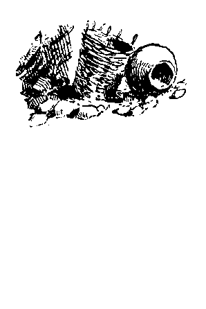 Пленники Барсова ущелья (с илл.) pic_49.png
