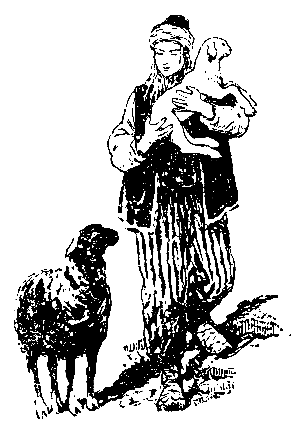 Пленники Барсова ущелья (с илл.) pic_56.png