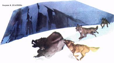Журнал «Вокруг Света» №01 за 1985 год TAG_img_cmn_2007_03_15_038_jpg755534