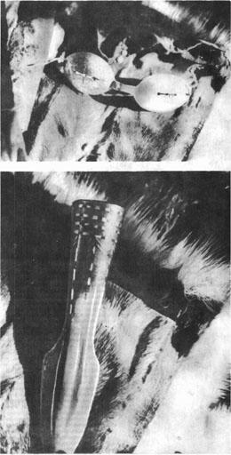 Журнал «Вокруг Света» №01 за 1985 год TAG_img_cmn_2007_03_15_045_jpg853549