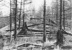 Журнал «Вокруг Света» №09 за 1960 год TAG_img_cmn_2009_03_17_004_jpg45898