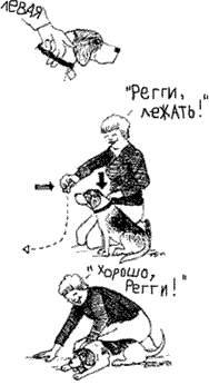 Что должны знать все хорошие собаки. Дрессировка через понимание _62.jpg