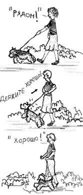 Что должны знать все хорошие собаки. Дрессировка через понимание _66.jpg