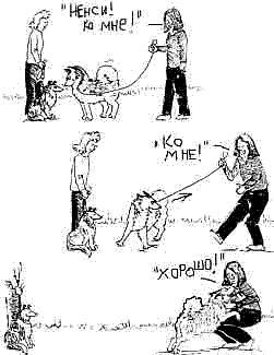 Что должны знать все хорошие собаки. Дрессировка через понимание _80.jpg