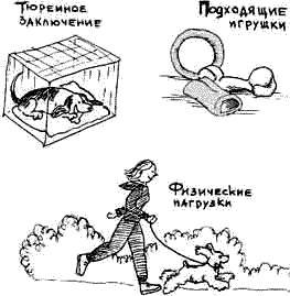 Что должны знать все хорошие собаки. Дрессировка через понимание _99.jpg