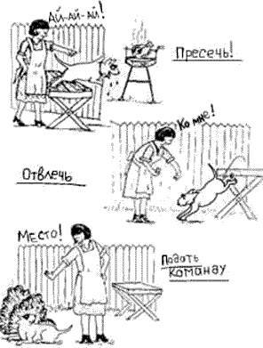 Что должны знать все хорошие собаки. Дрессировка через понимание _20.jpg