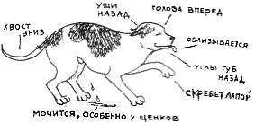 Что должны знать все хорошие собаки. Дрессировка через понимание _27.jpg