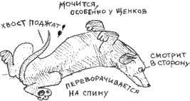 Что должны знать все хорошие собаки. Дрессировка через понимание _28.jpg