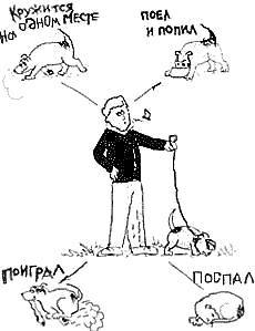 Что должны знать все хорошие собаки. Дрессировка через понимание _44.jpg