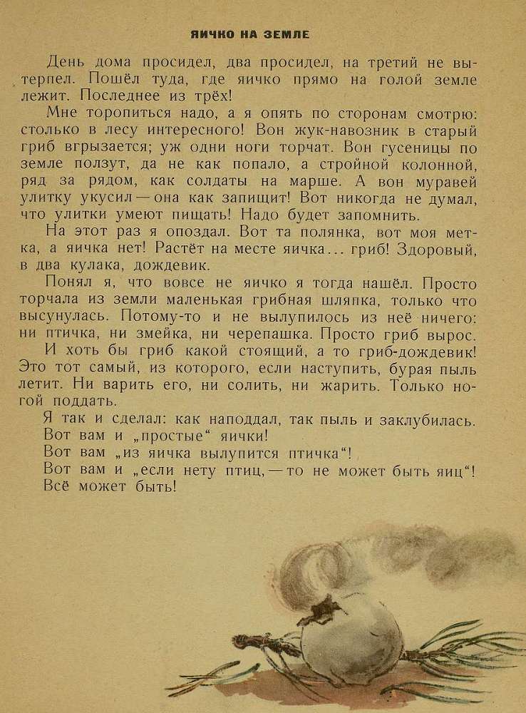 Тук - тук _10.jpg