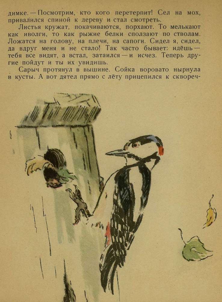 Тук - тук _12.jpg