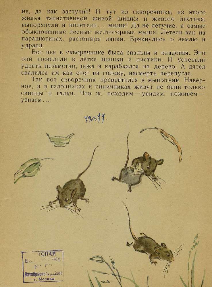 Тук - тук _13.jpg