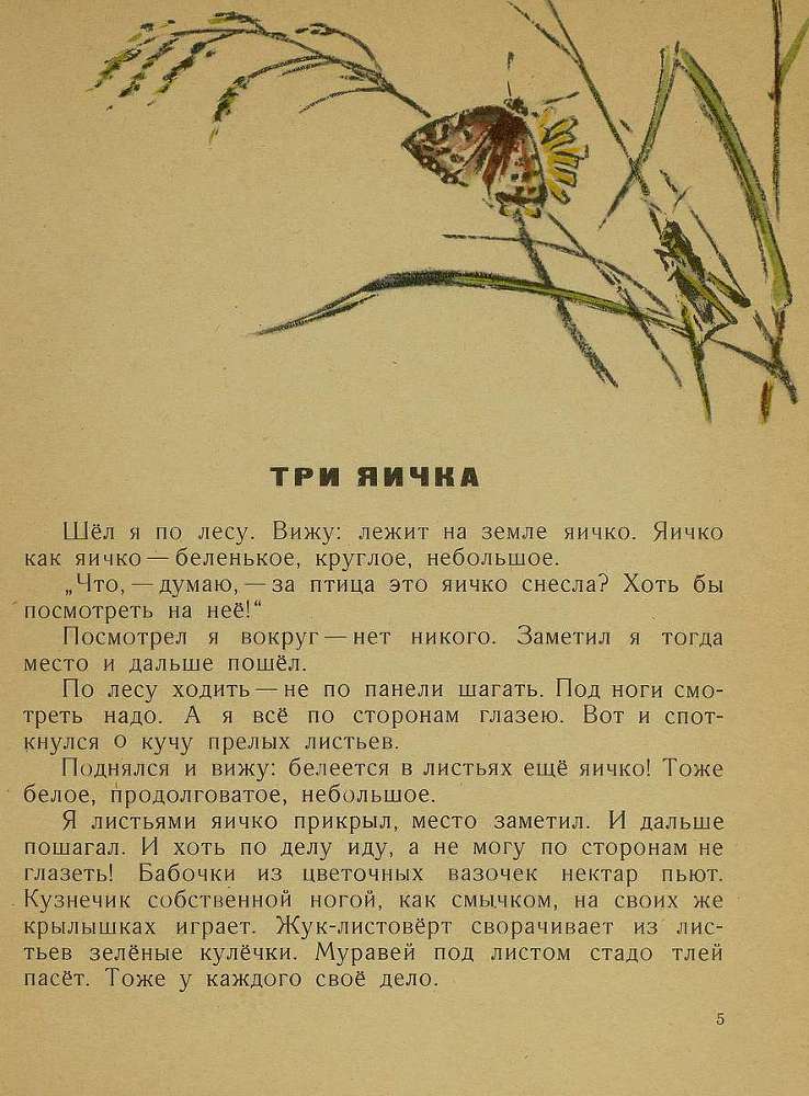 Тук - тук _6.jpg