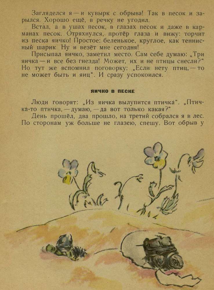 Тук - тук _7.jpg