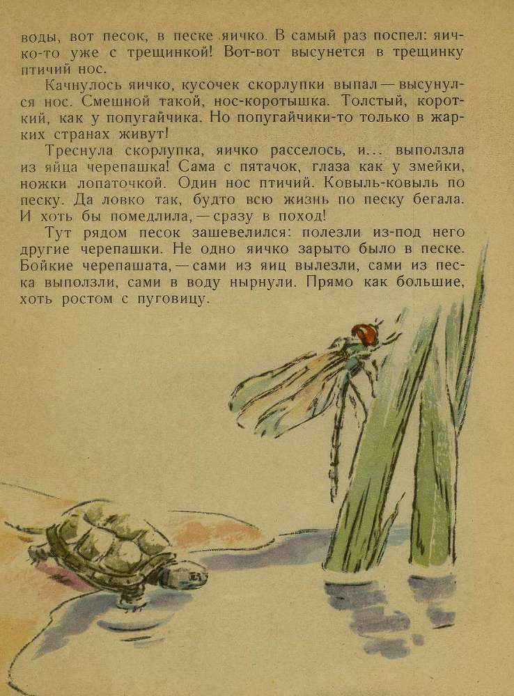Тук - тук _8.jpg