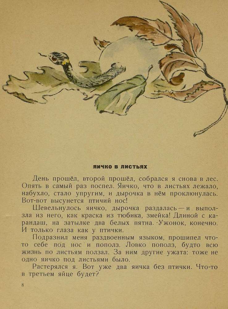 Тук - тук _9.jpg