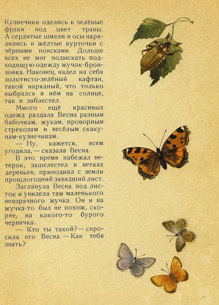 Лесной голосок _10.jpg