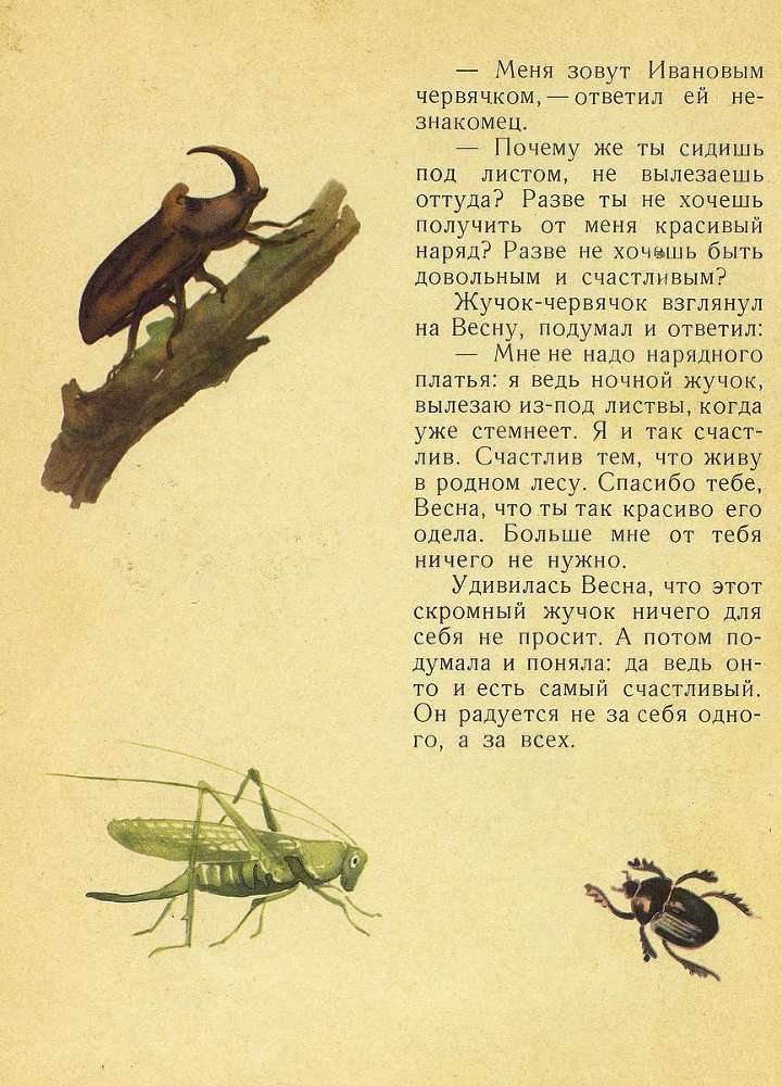 Лесной голосок _11.jpg