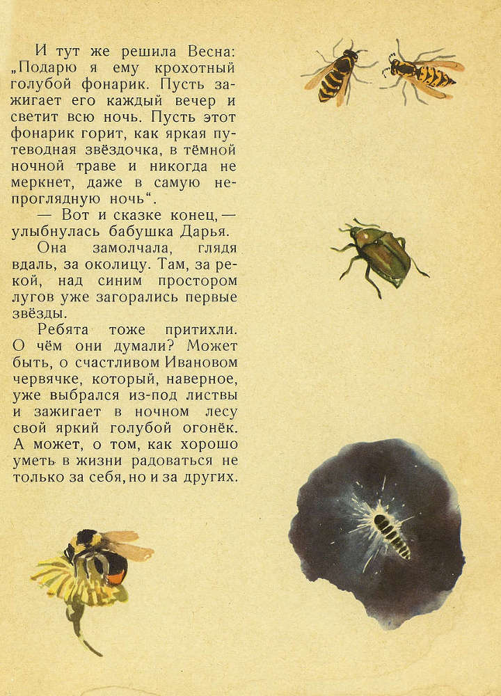 Лесной голосок _12.jpg