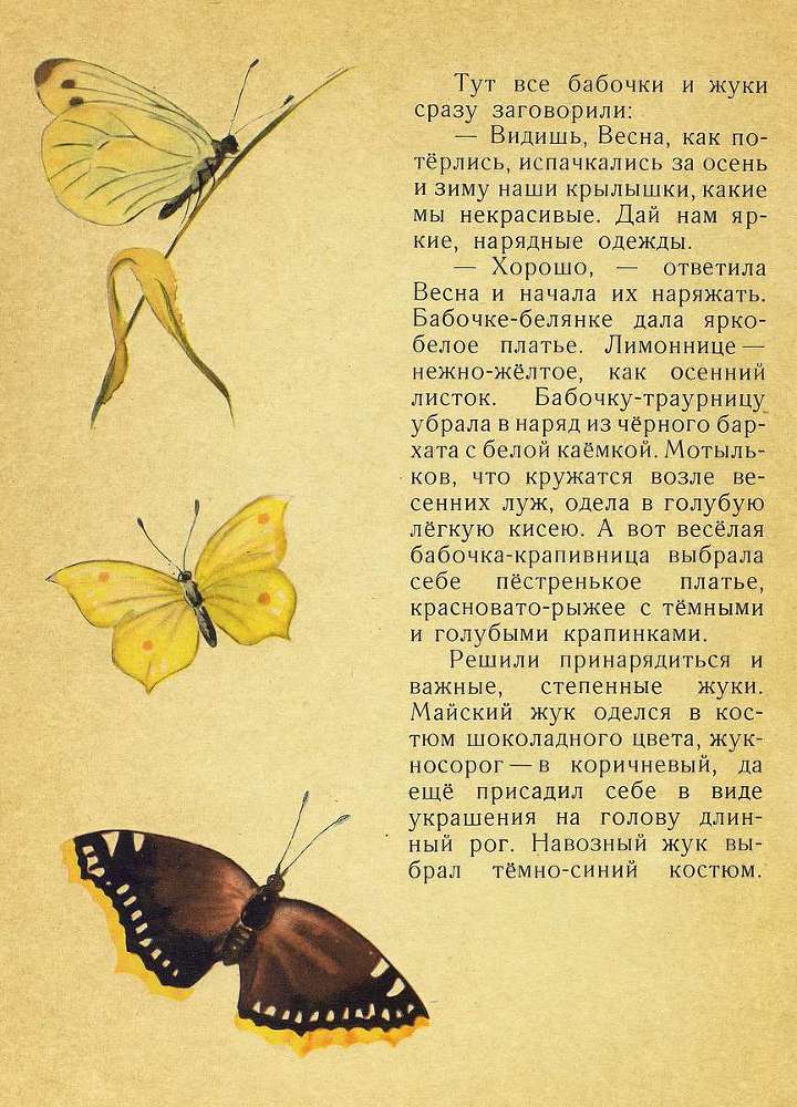 Лесной голосок _9.jpg