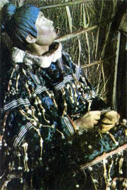 Журнал «Вокруг Света» №11 за 1976 год tag_img_cmn_2007_09_04_029_jpg886993.jpeg