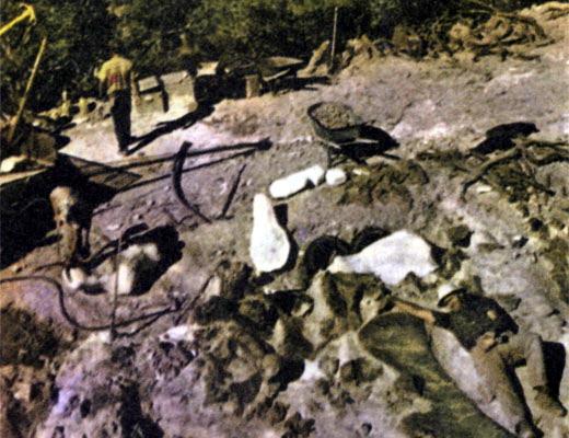 Журнал «Вокруг Света» №03 за 1987 год TAG_img_cmn_2007_04_12_017_jpg251623
