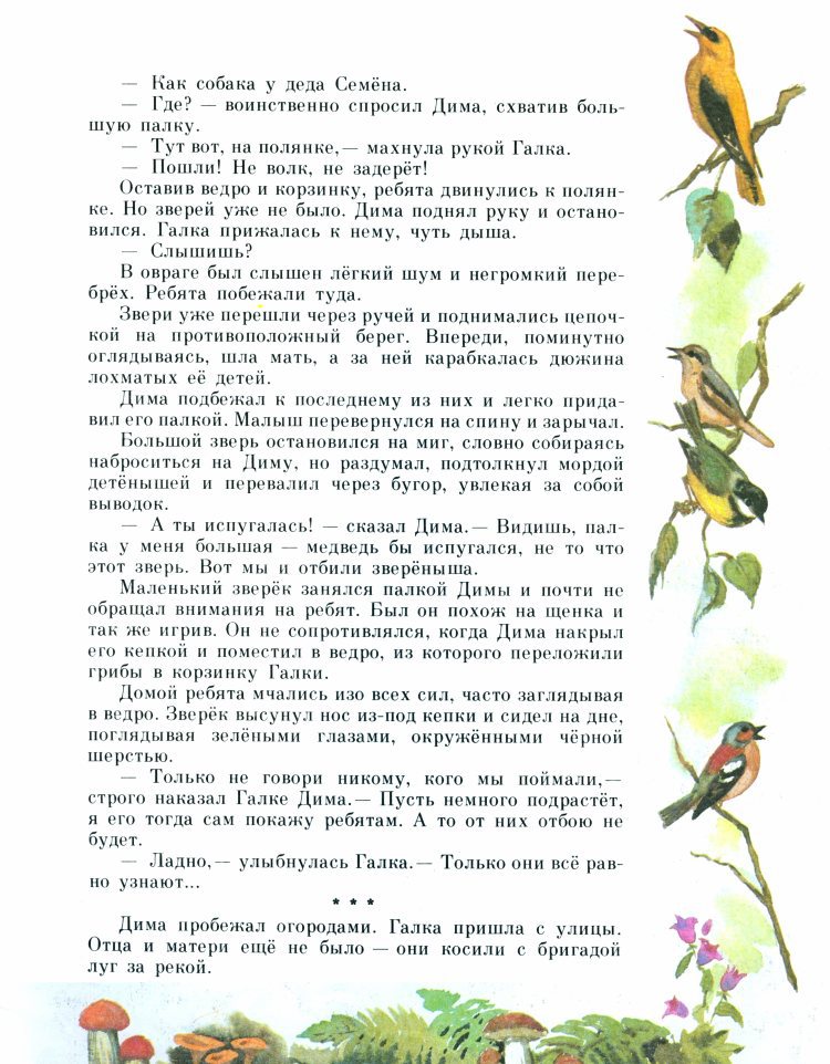 Рыжик _14.jpg