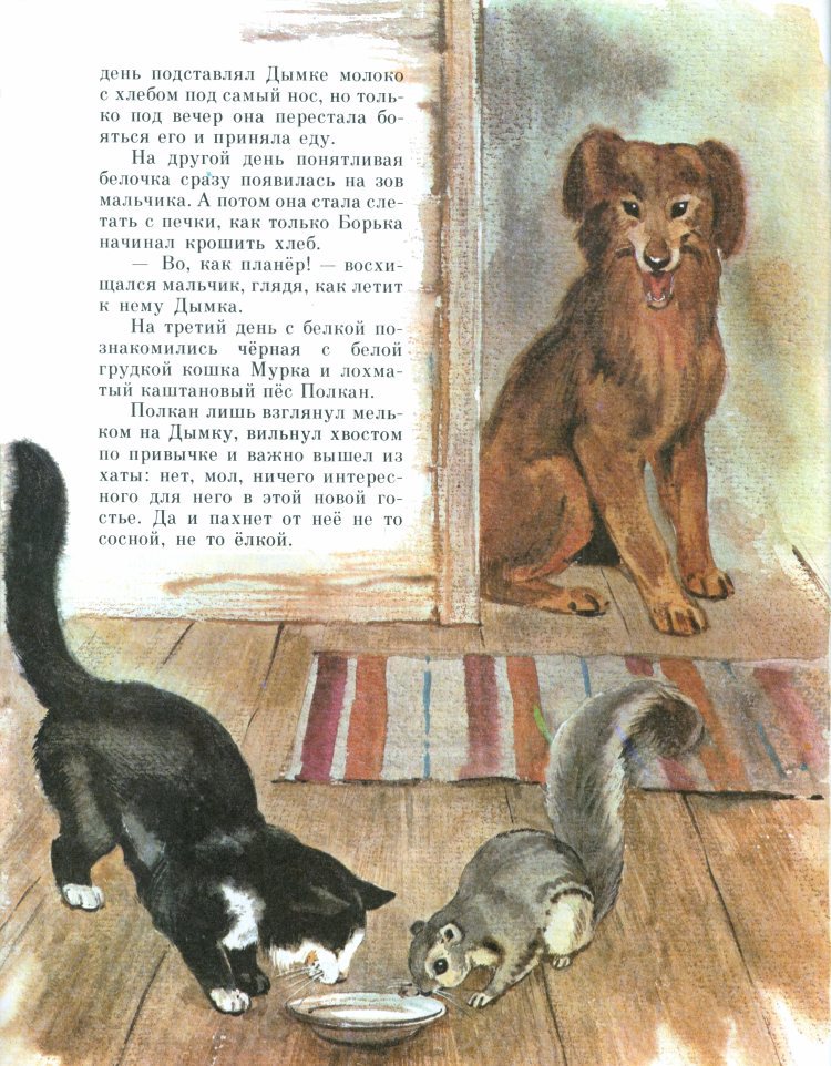 Рыжик _29.jpg
