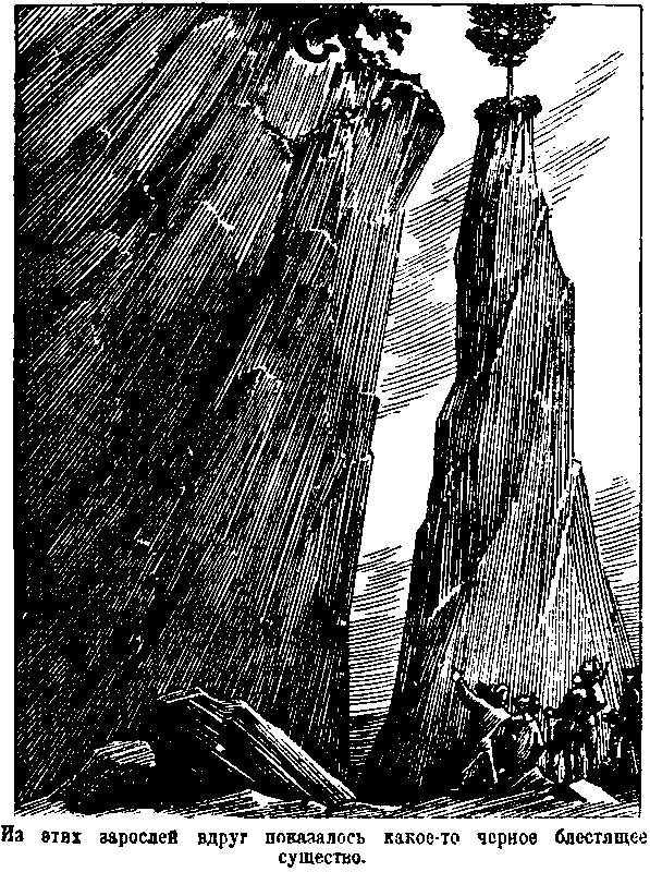 Затерянный мир (илл. С. Ладыгина) pic_8.png
