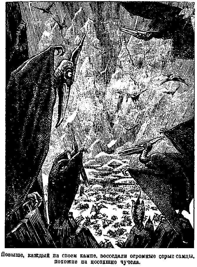 Затерянный мир (илл. С. Ладыгина) pic_13.png