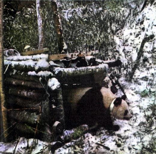 Журнал «Вокруг Света» №02 за 1987 год TAG_img_cmn_2007_04_11_014_jpg583228