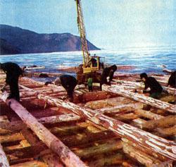 Журнал «Вокруг Света» №10 за 1976 год TAG_img_cmn_2007_09_01_038_jpg653122