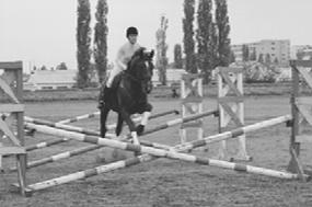 Спортивное коневодство _11.jpg
