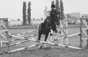 Спортивное коневодство _13.jpg