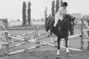 Спортивное коневодство _14.jpg