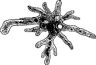 Аквариумное рыбоводство i_061.png