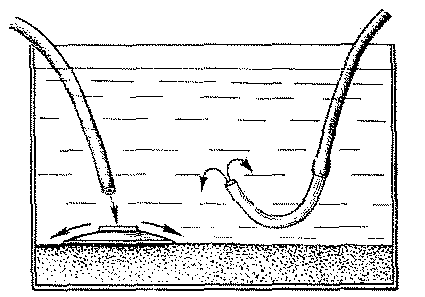 Аквариумное рыбоводство i_014.png