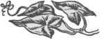 i_020.jpg